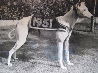 1951 derby winner.JPG (18593 bytes)