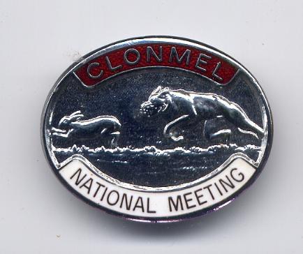 Clonmel National.JPG (27275 bytes)