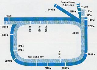 Randwick track.JPG (14370 bytes)