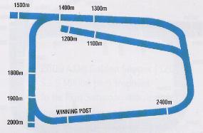 Rosehill Gardens track.JPG (8658 bytes)