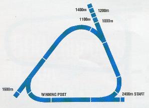 Warwick Farm track.JPG (8843 bytes)